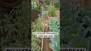 Bahçeni Bu Şekilde Ekersen Ürün Bekleme - Kardeş Bitkiler