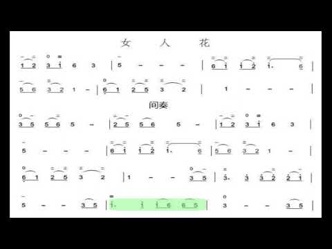 女人花 G调伴奏 - instrumental in G