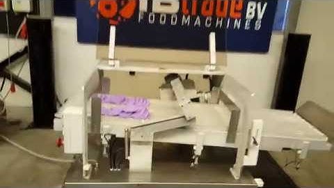 Geba WSM100D salmon slicer double lane - IBtrade