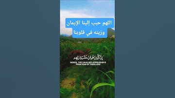 قرأن كريم راحة نفسية بصوت يريح الأعصاب #اكسبلور #تلاوة #المصحف #aslam #duet #trend #islamic_video