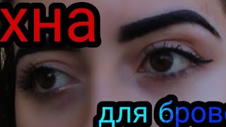 ХНА ДЛЯ БРОВЕЙ В ДОМАШНИХ УСЛОВИЯХ ХНА ДЛЯ БРОВЕЙ В ДОМАШНИХ УСЛОВИЯХ