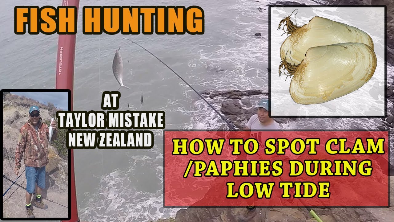 HOW TO SPOT CLAM or PAPHIES AND FISHING AT TAYLOR MISTAKE's FISHING SPOT 