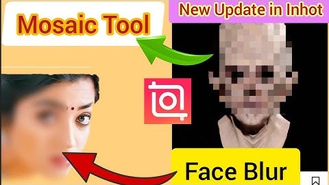 InShot Mosaic Tool with Different Shapes and Styles | InShot  New Update