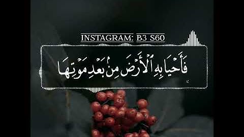 تلاوه قصيره - القرآن الكريم - مقاطع انستقرام دينيه - عبد الرحمن مسعد