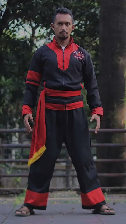 story wa pencak silat ikspi,psht,pshw,psgi,asad,pscp,tapak suci, dan pagar nusa terbaru #shorts#ipsi
