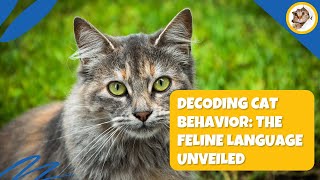 Decoding Cat Behavior: The Feline Language Unveiled