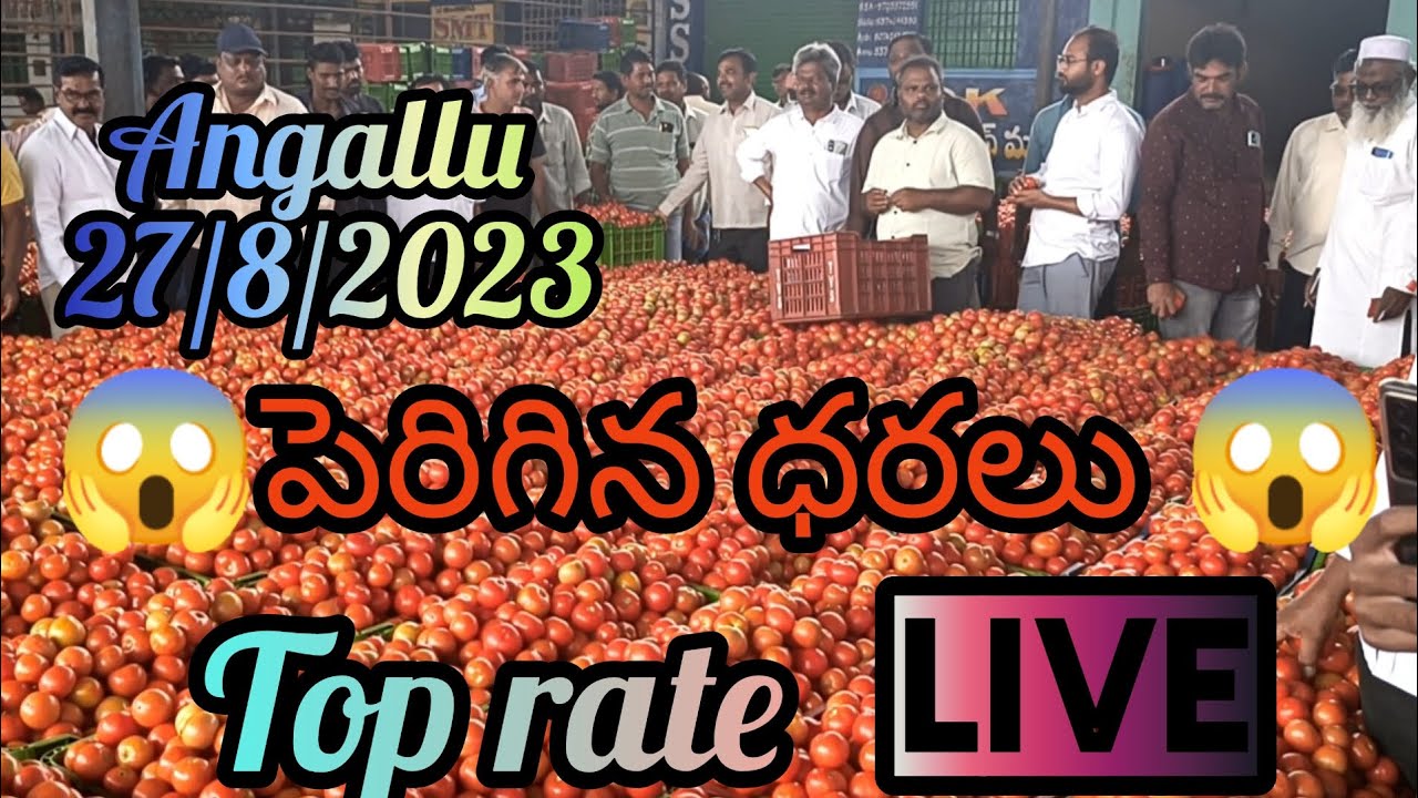 27/8/2023#angallu #tamotoprices #today top rate భారీగా పెరిగిన ధరలు🍅🍅🍅# ...