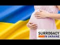 MATKI DO WYNAJĘCIA - SUROGATKI NA UA