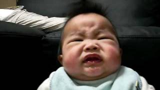 初めてのリンゴ 赤ちゃん動画シリーズ Youtube 初めてのリンゴ 赤ちゃん動画シリーズ Youtube