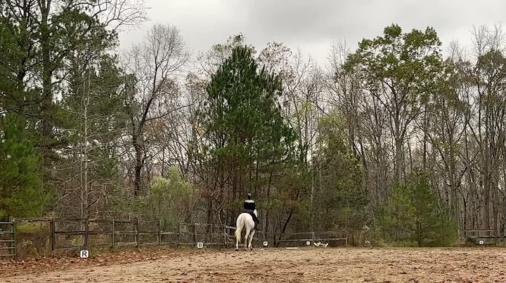 USNDC Intro Test 4 Amateur Level championship Batt...