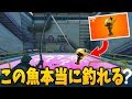 【フォートナイト】幻の金の魚って本当に釣れるの？？【検証】