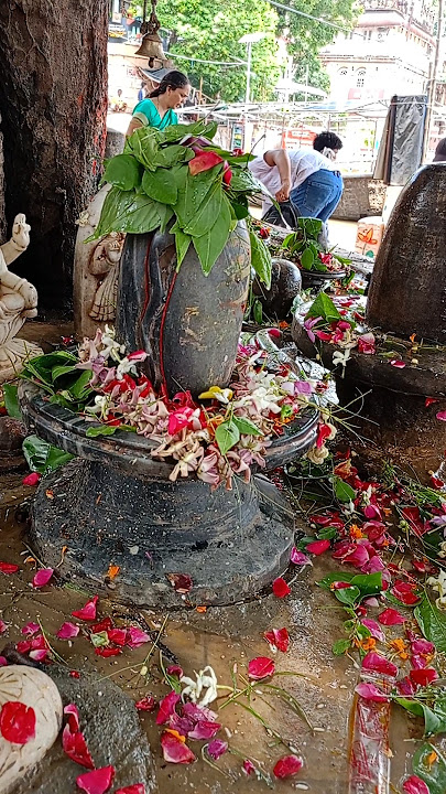 kashi ke vasi #shortfeed #shorts #sawanspecial #shivstatus  #trendingshorts #shivshankar