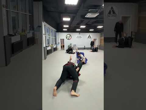БЖЖ в Щелково - ждем всех взрослых на ковре! #bjj