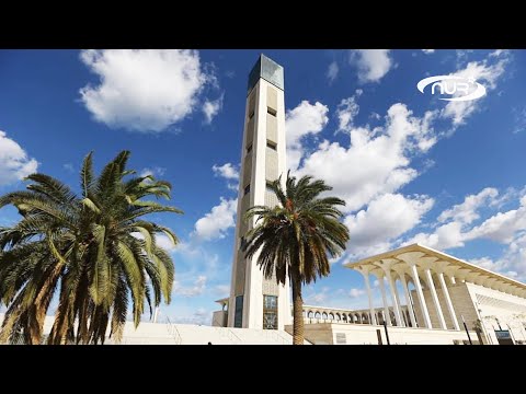 Видео: Почему важна Великая мечеть Кордовы?