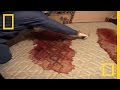 Crime Scene Cleaners | Real Life CSI