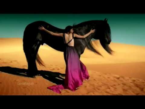 Gipsy Kings - Viento Del Arena [ HD video ]