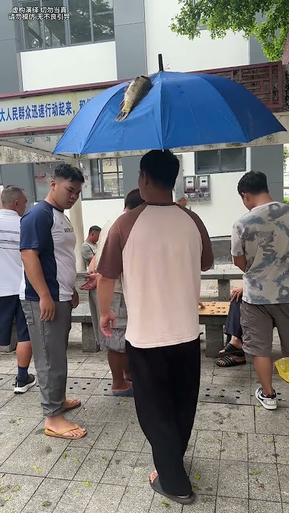 Ikanku hilang, kenapa aku jadi akur dengan istriku sekarang? Aku tak menyangka ini cuma lelucon. Fu