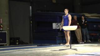 Steven Legendre - Vault - 2012 Winter Cup Finals