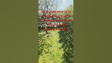 #تلاوات #قرآن #خاشعه