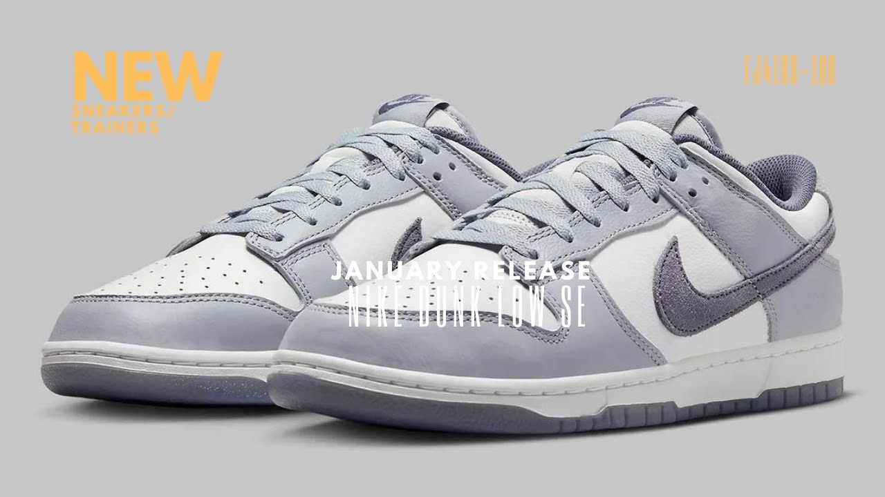 Nike Dunk Low SE Grey/White Men's/Shoes/Trainers/Sneakers - FJ4188-100 ...