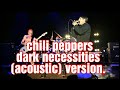Red hot chili peppers  dark necessities acoustic version