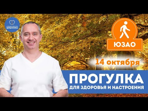 Видео: Осенние выходные с пользой для здоровья: прогулка с доктором Шишониным 14 октября ❤️