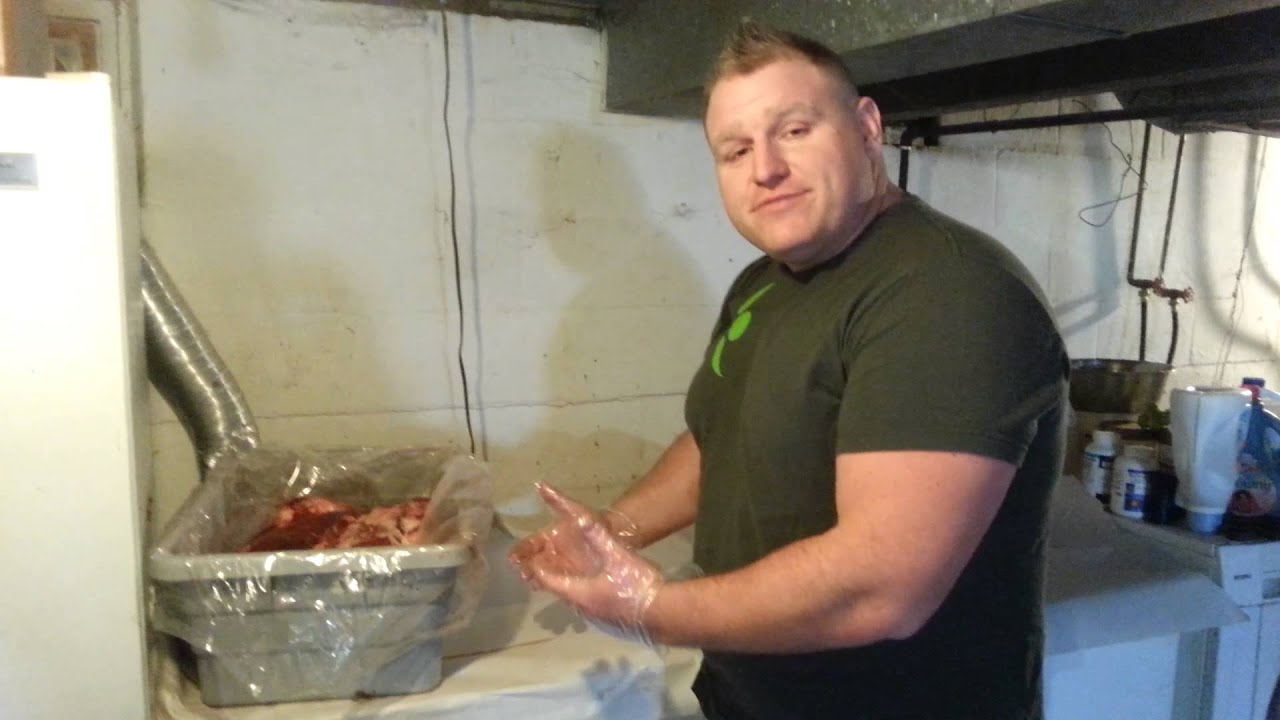 mastiff raw food diet