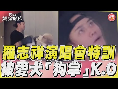 【星聞爆爆】羅志祥演唱會特訓 被愛犬「狗掌」K.O