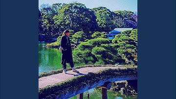 Pulsating Backdrops for 1970s Vibes