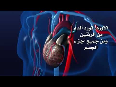 النقل في الإنسان اول ثانوي