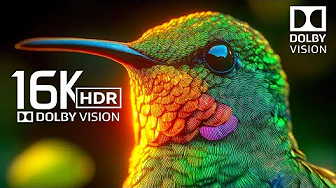 UNSEEN 16K HDR 60FPS Dolby Vision - MAX RESOLUTION | 16K Video ULTRA HD