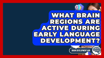 What Brain Regions Are Active During Early Language Development? - Brain Development Hub