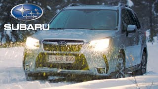 Subaru Forester | Subaru Snow Days 2019