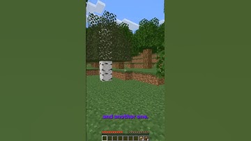 Minecraft, But If You Subscribe I Get Randomly Teleported... #minecraft #shorts