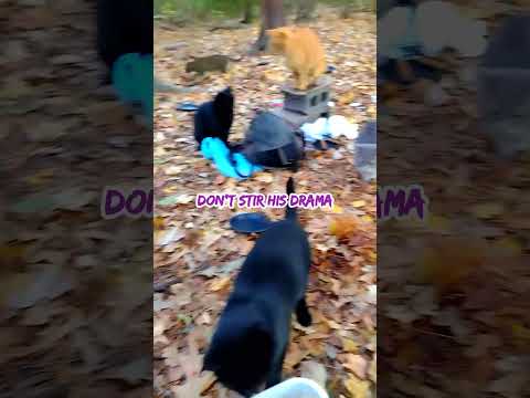 يا إلهي أشم رائحة خيانة وأكاذيب و باتيه 