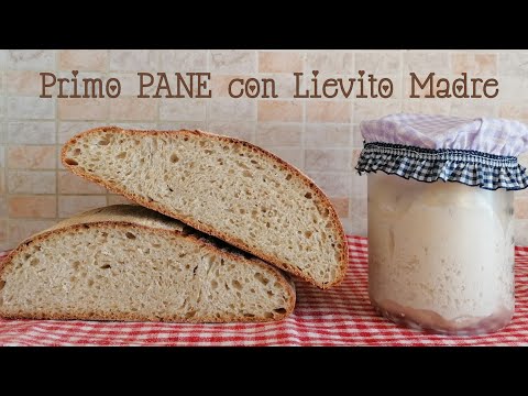 Video: Qual è Stato Il Primo Pane Sulla Terra