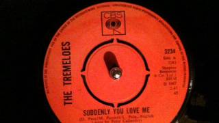 Tremeloes - suddenly you love me chords