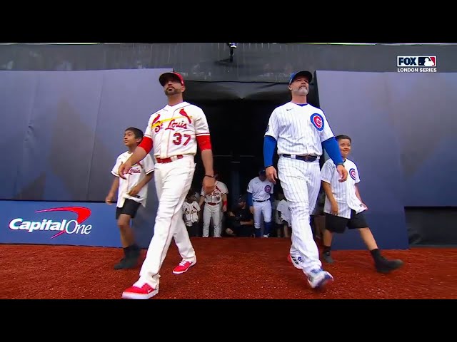 London Series: Chicago Cubs and St. Louis Cardinals walk out onto field and  national anthems 