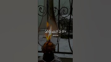 سورة النور - شريف مصطفى