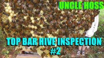 Top Bar Hive Inspection #2 - Inspecting my Top Bar Beehive