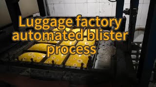 Summer Daisy Small Cosmetic Bag Production | Luggage Factory Automation Machine #travel #supplier