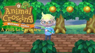 A visit to Carucaru #15 - Animal Crossing: New Leaf