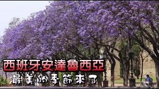 西班牙的這裡 迎來絕美花季 | 台灣蘋果日報
