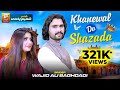 Wajid ali bag.adi new song 2024 khanewal da shezada  wajid bag.adi  saraiki song 2024  tp gold