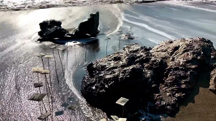 Judith Content: Ephemeral Land Art