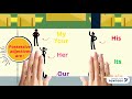 Possessive Adjectives