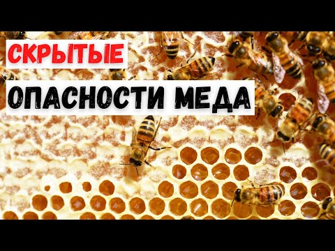 Вред меда - скрытые опасности мёда