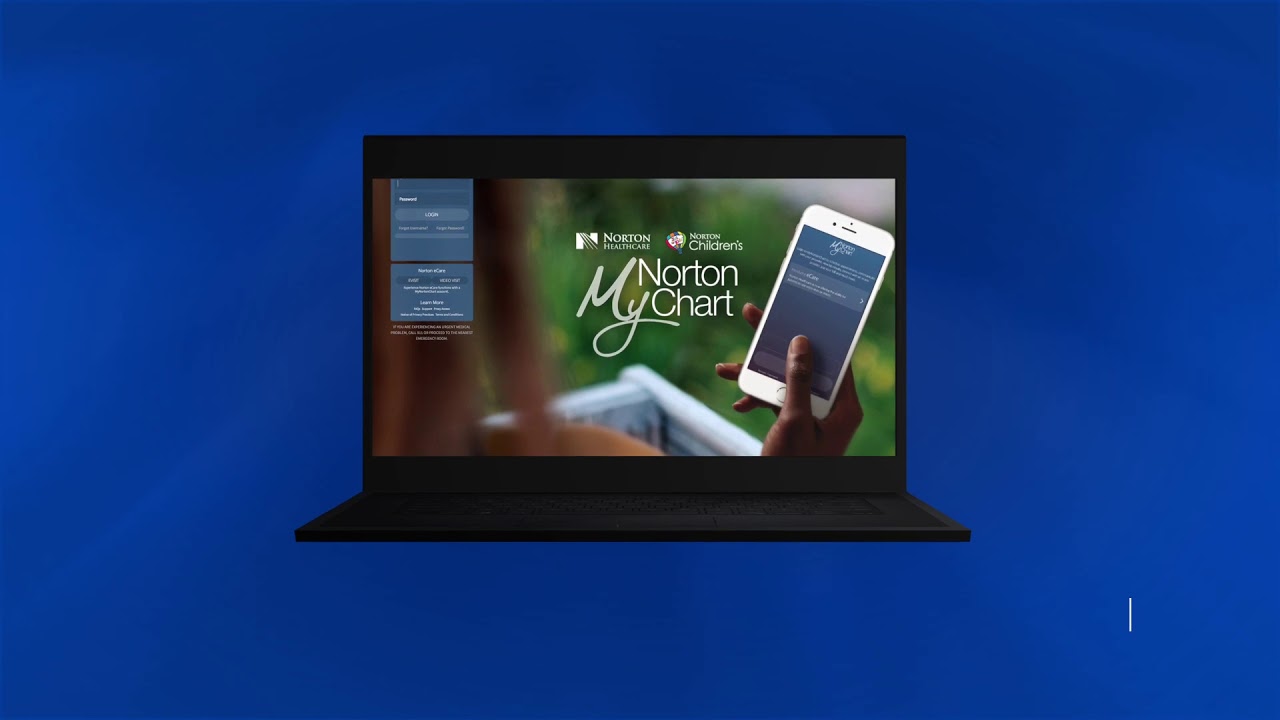My Norton Chart Login