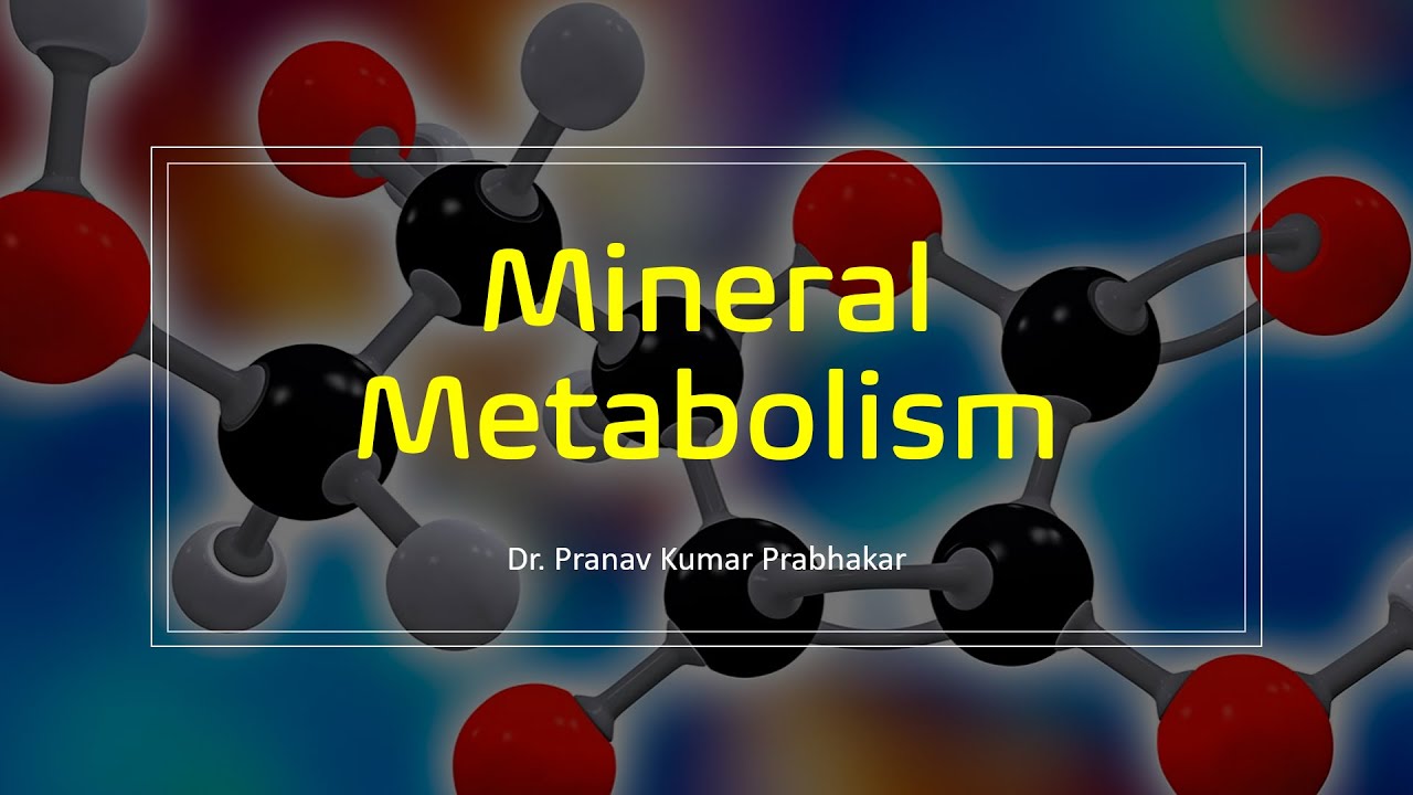 Which Of The Following Minerals Is Linked With Energy Metabolism