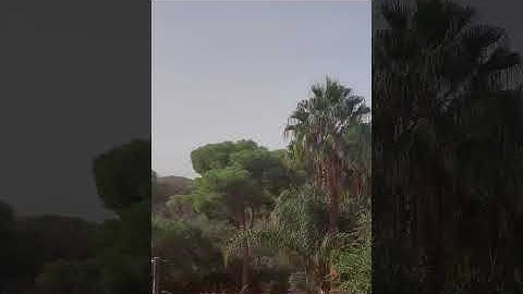 تلاوة عطرة لسورة الرعد، القارئ إسلام صبحي